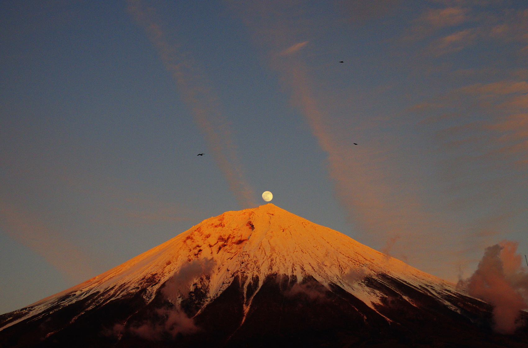 富士に昇る月　2020.01.09  （16:59:02）