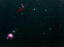 アトラス彗星M3とオリオン座　　180mm　　　　2020.11.10
