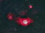 M8干潟星雲（猫の手星雲）　　　2021.08.03