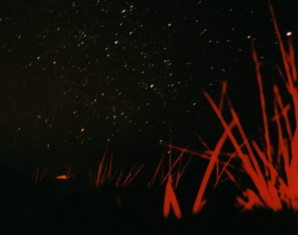 キラウエア火山の溶岩流の明り（左下）とカノープス（右上の輝星）　　２００２．０３