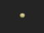 木星と衛星の影　イオ、ガニメデ　2010/08/28 am3:14