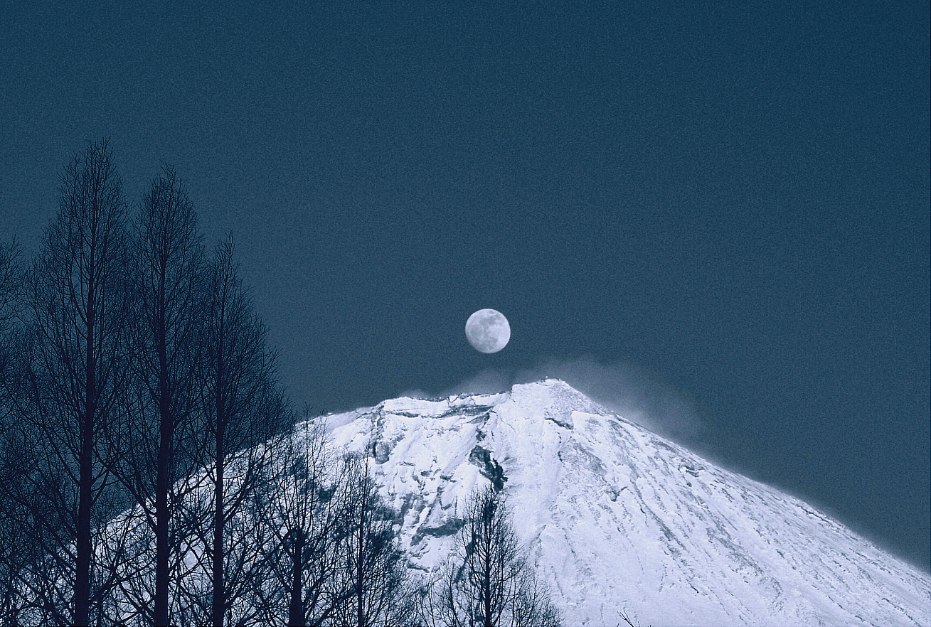 パール富士と冬木立　　２０１３年1月２５日　富士宮市