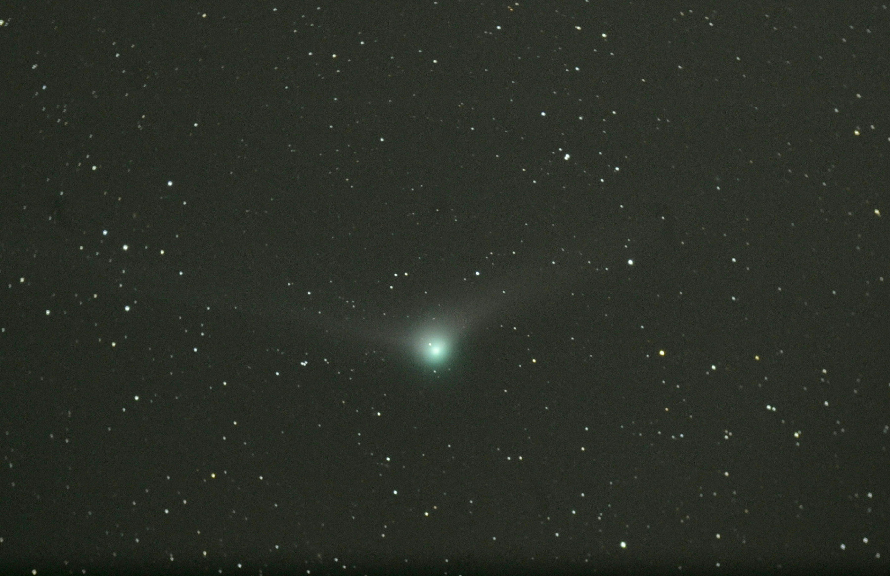 カタリナ彗星　2015.12.19　　富士宮