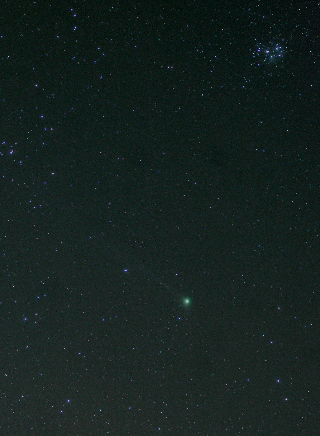 マックホルツ彗星とＭ４５　２００５．０１．０２　静岡市清水吉原　　Sachiko.Y