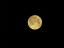 2010年元旦　太陽暦で初めての満月