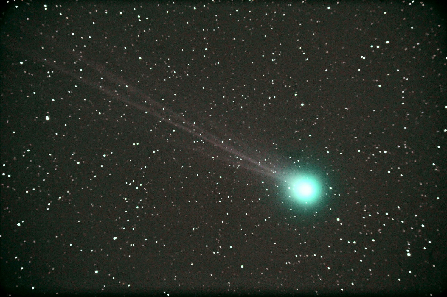 ラブジョイ彗星　C/2014Q2 2015.01.19 清水区大平