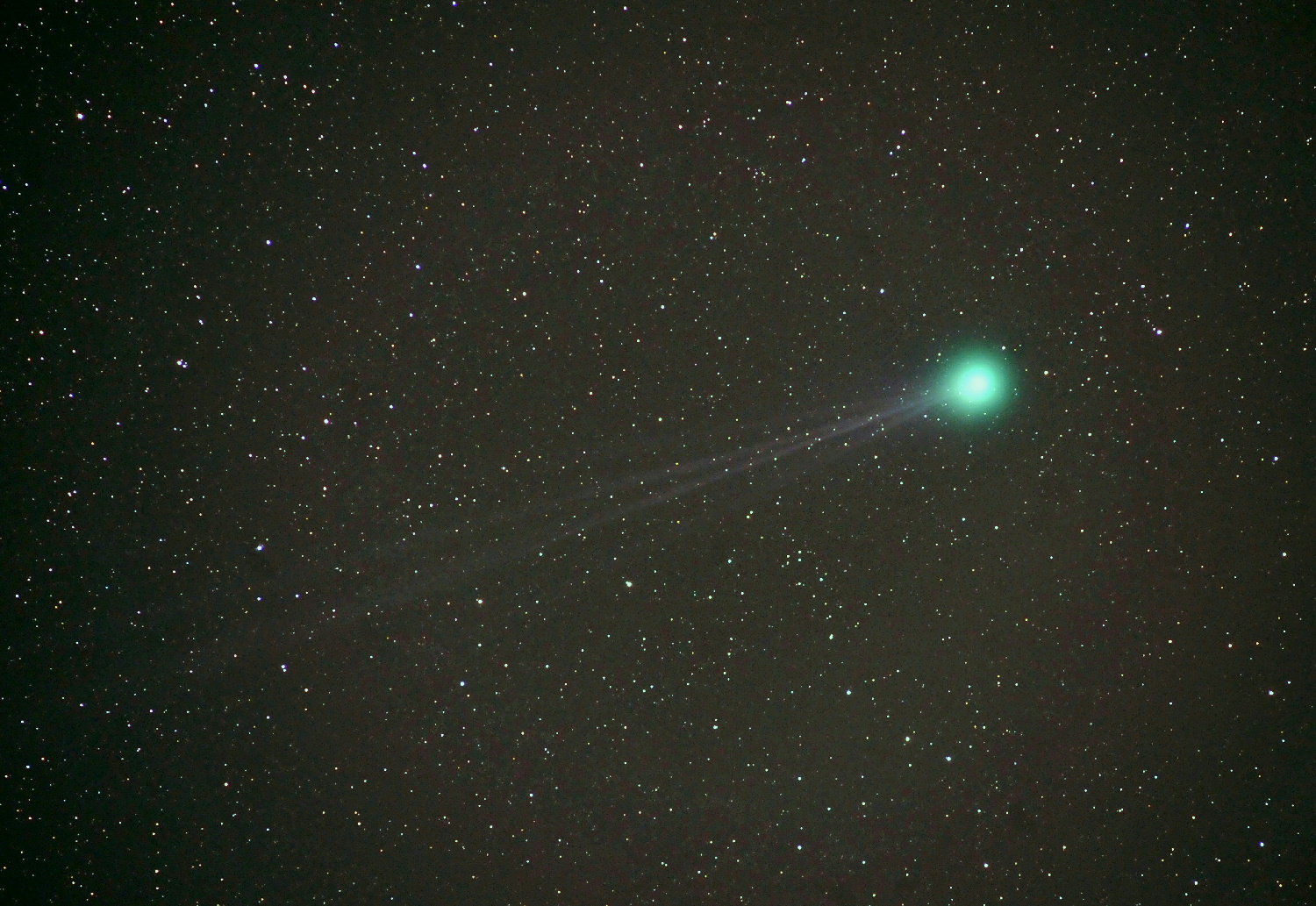 ラブジョイ彗星　C/2014Q2 2015.01.19 清水区大平